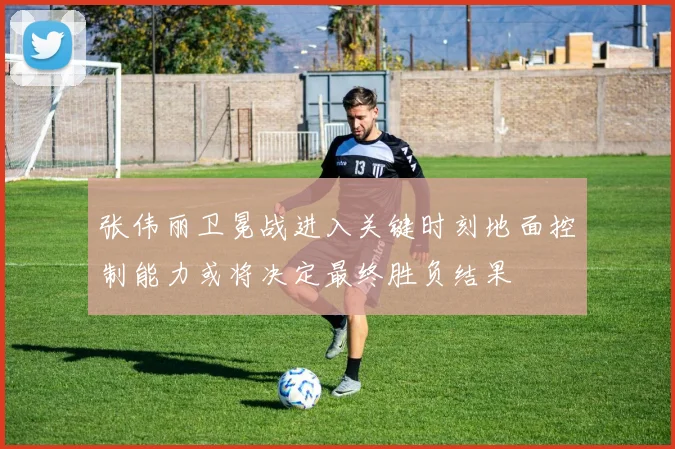 张伟丽卫冕战进入关键时刻地面控制能力或将决定最终胜负结果