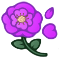 Purple Plush Poppy