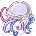 Jellyfish Companion