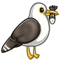 Seagull Companion
