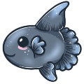 Sunfish Companion