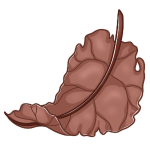 Fallen Leaf Mount