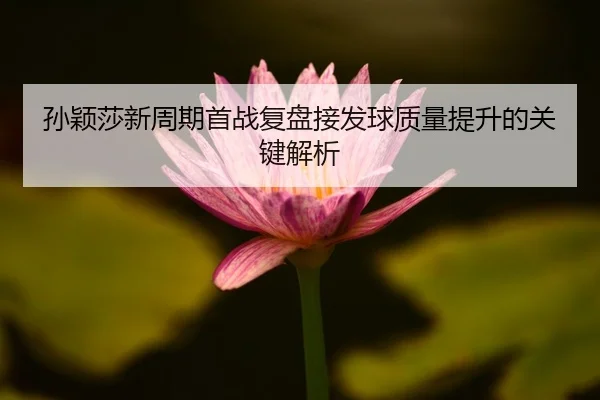 孙颖莎新周期首战复盘接发球质量提升的关键解析