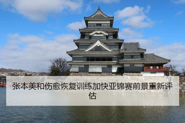 张本美和伤愈恢复训练加快亚锦赛前景重新评估